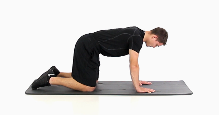 https://www.functionalmovement.com/files/Articles/759p_30a_23%20-%20quadruped%20t-spine%20rotation%20%281%29.jpg